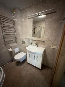 a bathroom with a sink and a toilet and a mirror at SALGIRDO svečių namai in Kelmė +20 photos