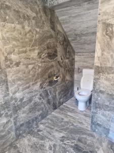 a bathroom with a toilet and a stone wall at Mirna zelena dolina in Šentilj