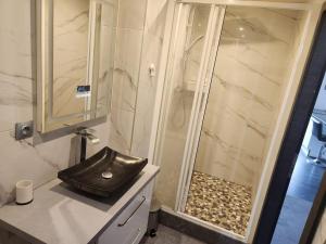 a bathroom with a shower and a sink at appartement Morteau in Morteau