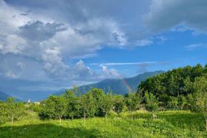 a rainbow in the sky over a field with trees at Gudauri Deka House, Balcony & Mountain Views in Gudauri