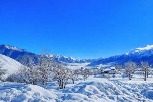 a snowy field with trees and mountains in the background at Gudauri Deka House, Balcony & Mountain Views in Gudauri +16 photos
