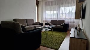 a living room with two couches and a green rug at Apartman Dunja in Ruma