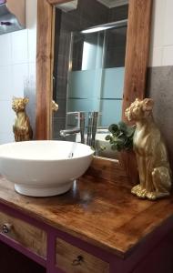 a bathroom counter with a sink and a mirror at les roches du Cabellou 150M de la mer in Concarneau