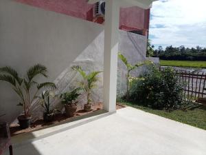 a patio with palm trees and a wall at Villa Nimāmi in Ahangama