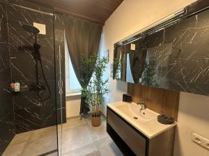 a bathroom with a sink and a shower at Urban Spacious Bright Apartment with DanubeView in Linz +17 photos