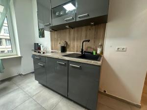 a kitchen with a sink and a refrigerator at Urban Spacious Bright Apartment with DanubeView in Linz