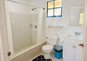 a bathroom with a toilet and a tub and a sink at Dennis' Hideaway in Mayreau +10 photos