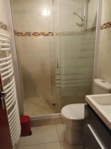 a bathroom with a shower with a toilet and a sink at Maison dans un chalet en bordure de lac in Loudenvielle
