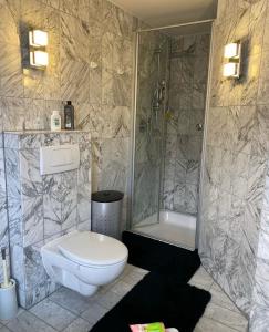 a bathroom with a toilet and a shower and a sink at Viktoria`s Penthouse in Bad Breisig +40 photos