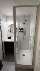 a shower with a glass door in a bathroom at Appartement 3 chambres - 8 couchages in Six-Fours-les-Plages +19 photos