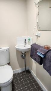 a bathroom with a white toilet and a sink at The Denman Lodge in Brisbane