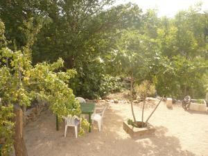 a picnic table and chairs in a yard with trees at House Dragica in Cres