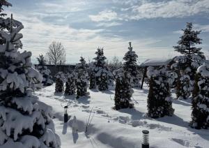 a group of trees covered in snow at Prime House in Akunkʼ