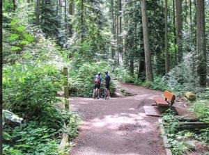 two people standing on a dirt trail in the woods at Dunbar Home in Vancouver +9 photos