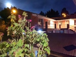 a house at night with a plant in the foreground at Casa Amadeus in Estanciasuyo