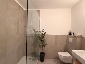 a bathroom with a shower and a toilet and a sink at Apartment an der Altstadt in Hameln +13 photos