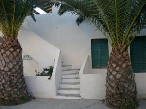 a staircase with two palm trees next to a building at Teresa Spiti in Adamantas