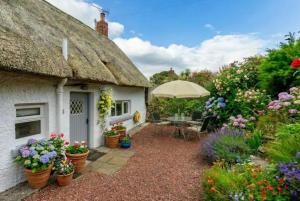 a cottage with a thatched roof and a patio with plants at Thatched Cottage on Northumberland border in Kirk Yetholm