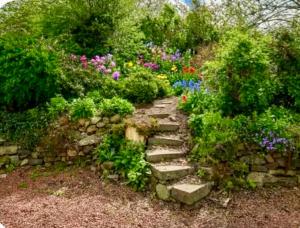 a stone path in a garden with flowers and plants at Thatched Cottage on Northumberland border in Kirk Yetholm