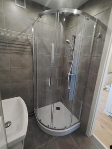 a shower with a glass door in a bathroom at Na Sadowej in Grodzisk Mazowiecki