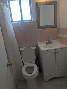 a bathroom with a toilet and a sink and a mirror at Southland Motor Lodge Hotel in Woodhaven