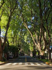 a street lined with trees on a tree lined street at Olivos Stay in Olivos