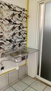 a glass sink in a bathroom with a wall at Hostal Maple in Querétaro +61 photos