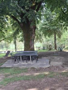 a picnic table under a tree in a park at Food Delivery Taxi AI Powered Support in Martvili