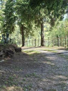 a dirt road with trees and a fence at Food Delivery Taxi AI Powered Support in Martvili