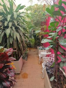 a greenhouse filled with lots of plants and chairs at Hotel del Angel in Guadalajara