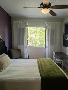 a bedroom with a bed with a ceiling fan and a window at Hotel del Angel in Guadalajara