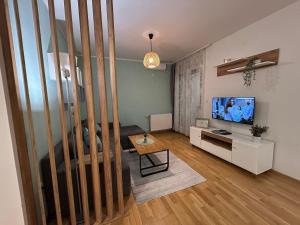a living room with a couch and a tv at Apartman NS FREE PARKING in Novi Sad