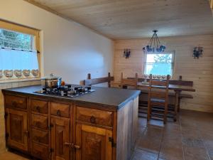 a kitchen with a stove and a dining room at Mountain Cabin on Dobrča - Alpine Views -Foot Access Only in Tržič