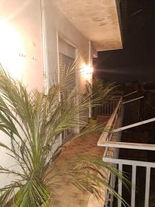 a staircase with a potted plant in a room at La Piuma in Misterbianco
