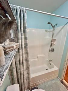 a bathroom with a shower and a bath tub at La Cachette in LʼAnse-Saint-Jean +20 photos