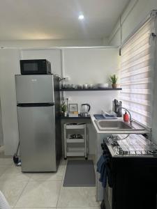 a small kitchen with a refrigerator and a sink at Villa Nola Tres in Port-of-Spain