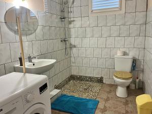 a bathroom with a sink and a toilet at La Belle Escapade in Quartier du Fond Fleuri +8 photos