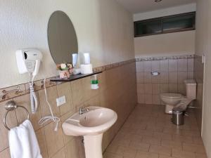 a bathroom with a sink and a toilet and a mirror at Olla é Mono Ecolodge in Sarapiquí