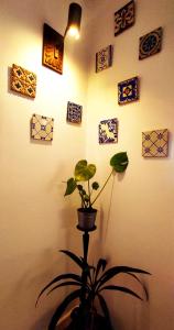 a plant in a room with a wall with pictures at DockApartment in Vila Nova de Gaia