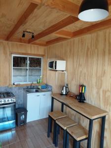 a kitchen with a counter with a sink and a stove at Los Gladiolos in Melipeuco