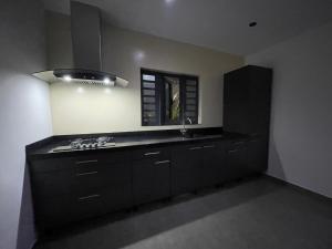 a black kitchen with a sink and a window at Blanquila Resort in Willemstad
