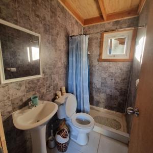 a bathroom with a toilet and a sink at Los Gladiolos in Melipeuco