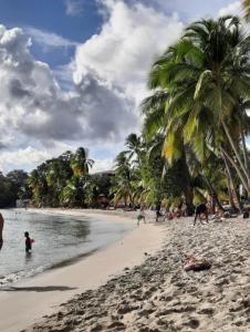 a group of people on a beach with palm trees at Abricotier à proximité des plages du sud in Rivière-Pilote