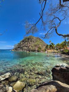 an island in the ocean with people in the water at Villa Bois coco Les Saintes in Terre-de-Haut +7 photos