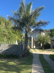 a palm tree in front of a house at Terralagum in Villa Parque Siquiman