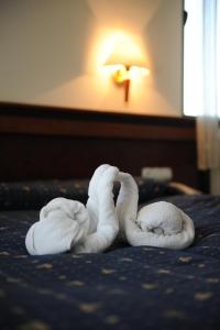two towels are made to look like swans on a bed at Millenium Palace in Ohrid