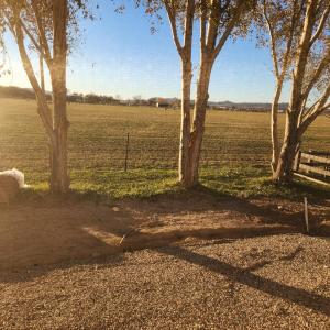 a group of trees and a fence in a field at The Elevated Retreat in Cedar City