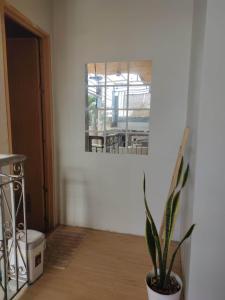 a potted plant in a room with a window at Bogartz Homestay in Mati