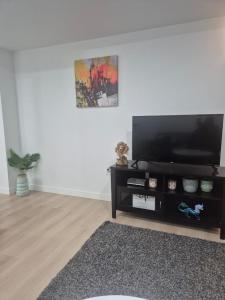 a living room with a flat screen tv on a wall at Ubbies place in Regina