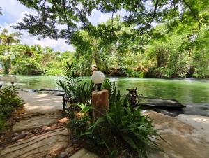 a view of a river with trees and green water at Baan LungYod Resort in Phetchaburi